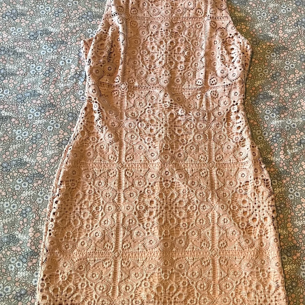Jack by BB Dakota Rose Sheath Midi Dress